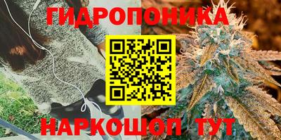 спайс Тверь