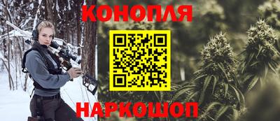гашик Тара