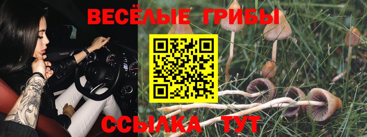 ГАШИШ  ГАШ  МЕФ   Канабис  LSD-25  Мценск  COCAIN  Вход с VPN 